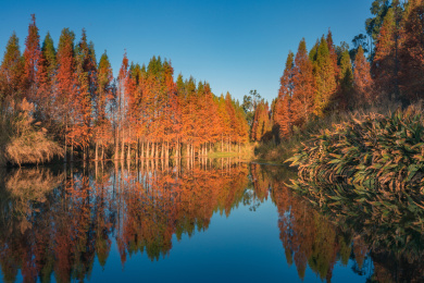 昆明晋宁区东大河湿地公园