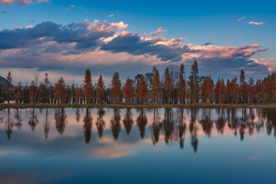 中国云南晋宁东大河湿地公园