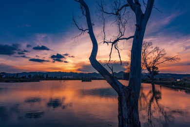 晋宁东大河湿地公园
