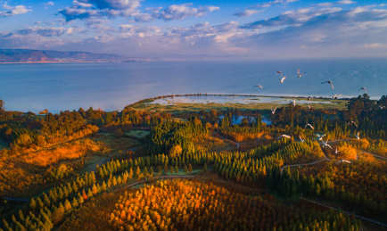 中国云南东大河湿地公园