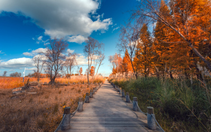 晋宁东大河湿地公园