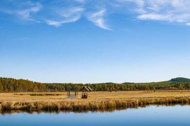 塞罕坝七星湖风光