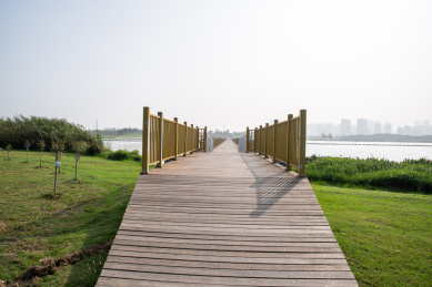 安徽合肥滨湖新区方兴湖景观风光