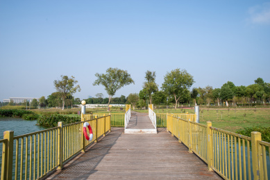 安徽合肥滨湖新区方兴湖景观风光