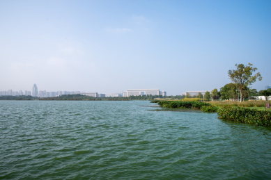 安徽合肥滨湖新区方兴湖景观风光