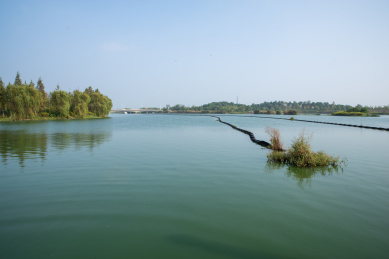 安徽合肥滨湖新区方兴湖景观风光