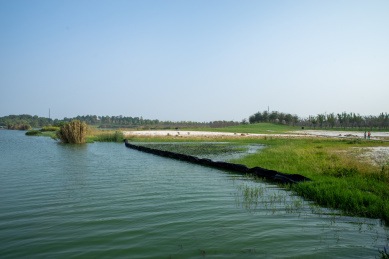 安徽合肥滨湖新区方兴湖景观风光