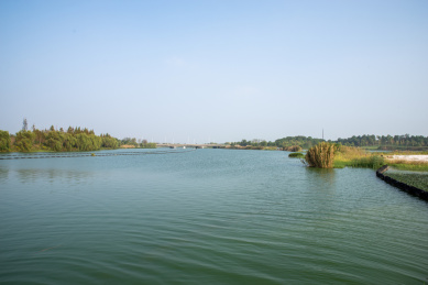 安徽合肥滨湖新区方兴湖景观风光