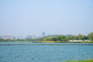安徽合肥滨湖新区方兴湖景观风光