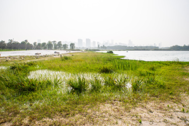 安徽合肥滨湖新区方兴湖景观风光