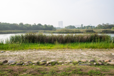 安徽合肥滨湖新区方兴湖景观风光