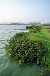 安徽合肥滨湖新区方兴湖景观风光