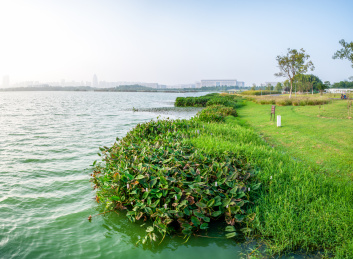安徽合肥滨湖新区方兴湖景观风光