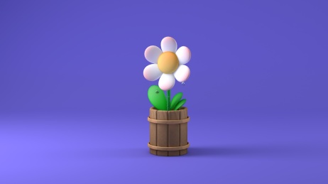 一棵太阳花盆栽
