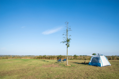 安徽合肥滨湖新区环巢湖岸上草原景观风光