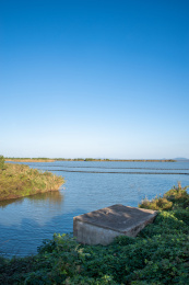 安徽合肥滨湖新区环巢湖岸上草原景观风光