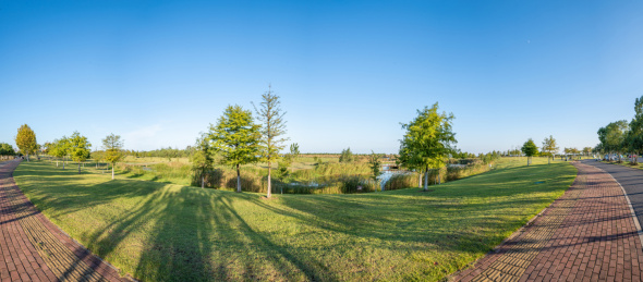 安徽合肥滨湖新区环巢湖岸上草原景观风光
