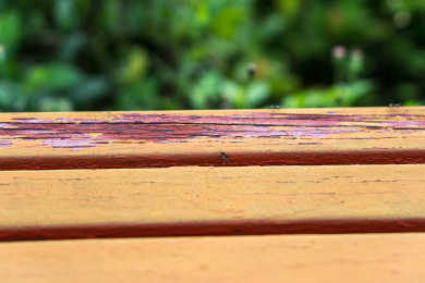 深圳公园斑驳橙色木板特写