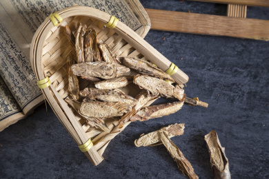 中国古风背景的中药宽筋藤特写