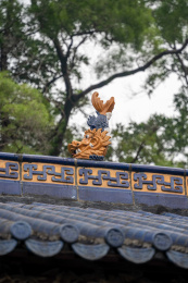 脊兽龙吻中式建筑