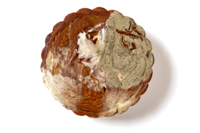 发霉大月饼