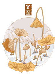 冬至节气冬天枯叶荷叶小清新矢量插画