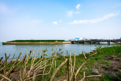上海浦东临港滴水湖景区景观
