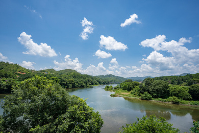 福建龙岩长汀清澈汀江水及两岸的植被