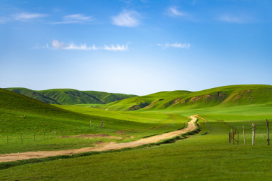 中国青海湖畔的牧场风光