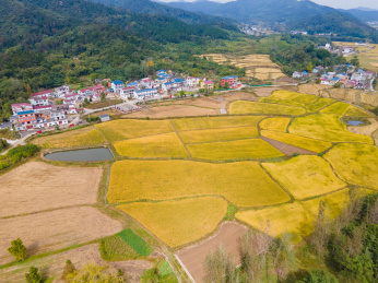 湖北黄冈杨山河吧秋季风光