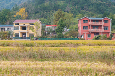 湖北黄冈杨山河吧秋季风光