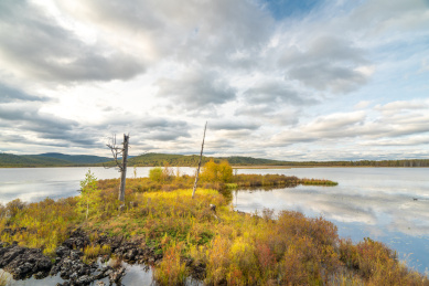 中国内蒙古阿尔山杜鹃湖秋色云海