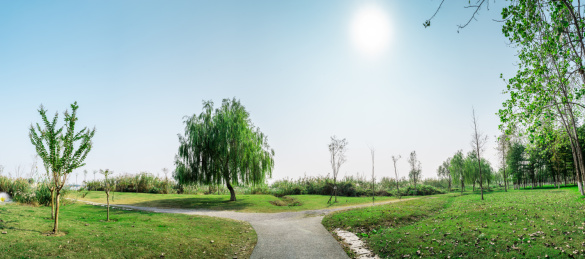 安徽合肥滨湖新区临巢湖景观风光