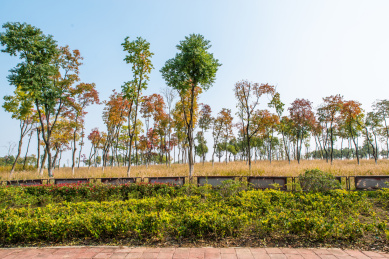 安徽合肥滨湖新区临巢湖景观风光