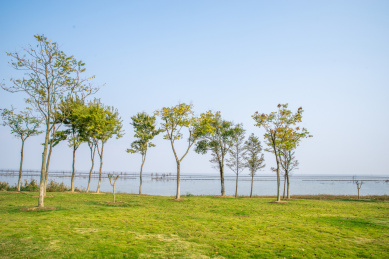 安徽合肥滨湖新区临巢湖景观风光