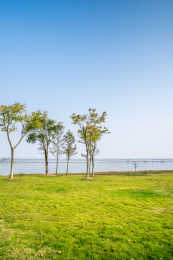 安徽合肥滨湖新区临巢湖景观风光