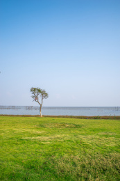 安徽合肥滨湖新区临巢湖景观风光