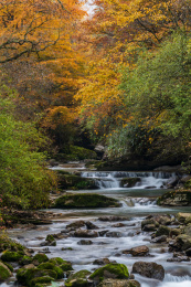 中国四川巴中市南江县光雾山大坝景区风光