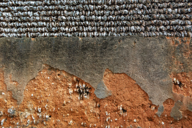 中国广东省广州市番禺区沙湾古镇蚝壳墙