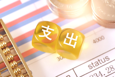 图表上的文字积木支出