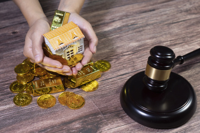 财产财富房产法律审判审查