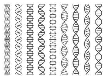 DNA双股螺旋插画素材