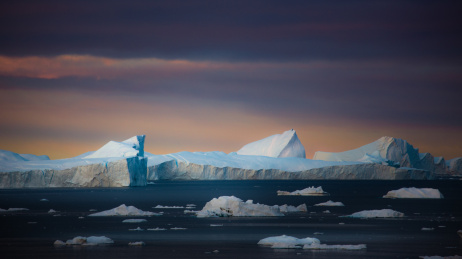 北极，丹麦格陵兰的巨大冰山浮冰海鸟和晨曦