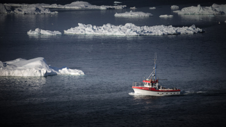 北极，丹麦格陵兰的巨大冰山浮冰海鸟和晨曦