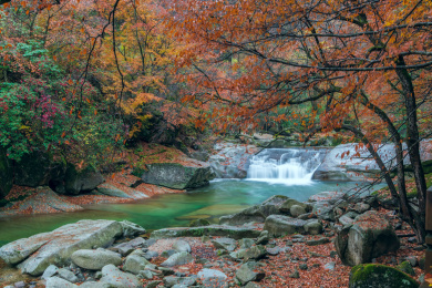 中国四川巴中市南江县光雾山大坝景区秋季风