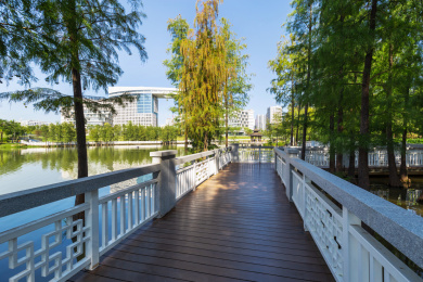 中国广东省广州市黄埔区中新广州知识城凤凰湖