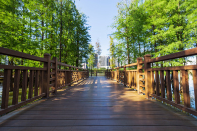 中国广东省广州市黄埔区中新广州知识城凤凰湖