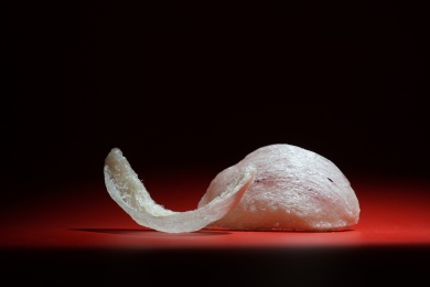 马来西亚白燕窝燕盏