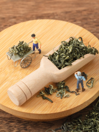 微缩创意碧螺春毛峰绿茶茶叶与茶农