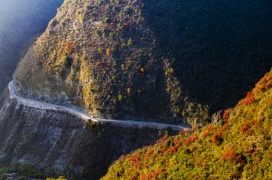 重庆市巫山县红叶